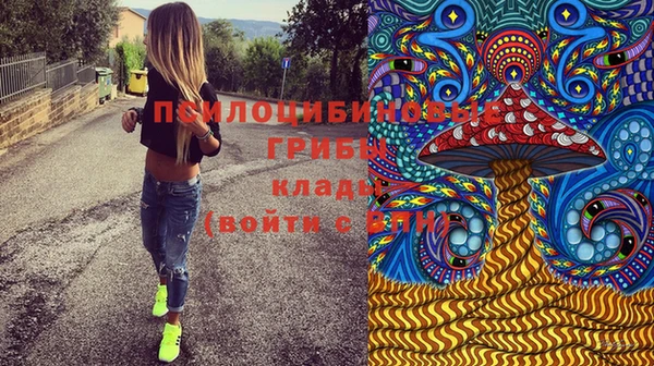 Альфа ПВП Белокуриха