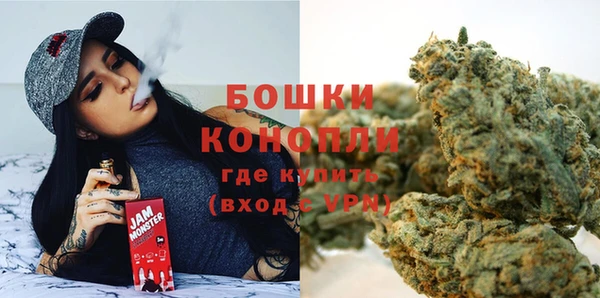 Альфа ПВП Белокуриха